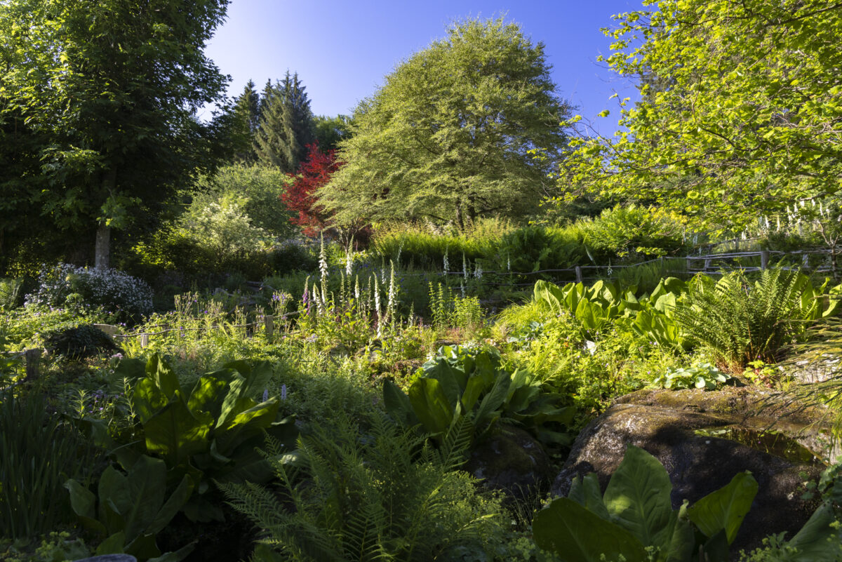 Photo: Berchigranges - ein Garten in den Vogesen