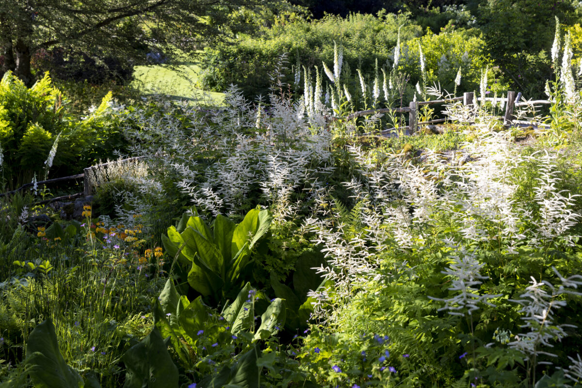 Photo: Berchigranges - ein Garten in den Vogesen