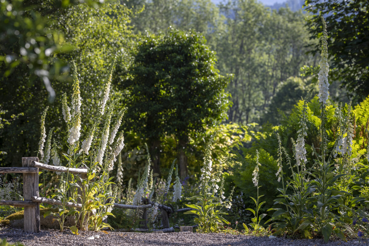 Photo: Berchigranges - ein Garten in den Vogesen