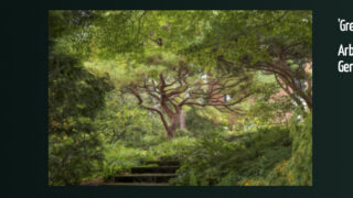 Photo: A visit of the Botanical Garden of San Francisco
