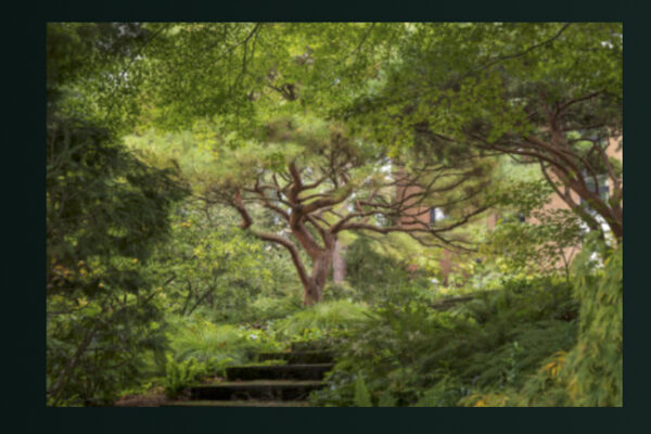 Photo: European Garden Photography Award 2022