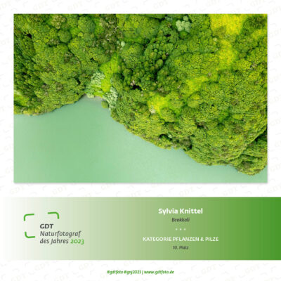 GDT Naturfotograf des Jahres 2023