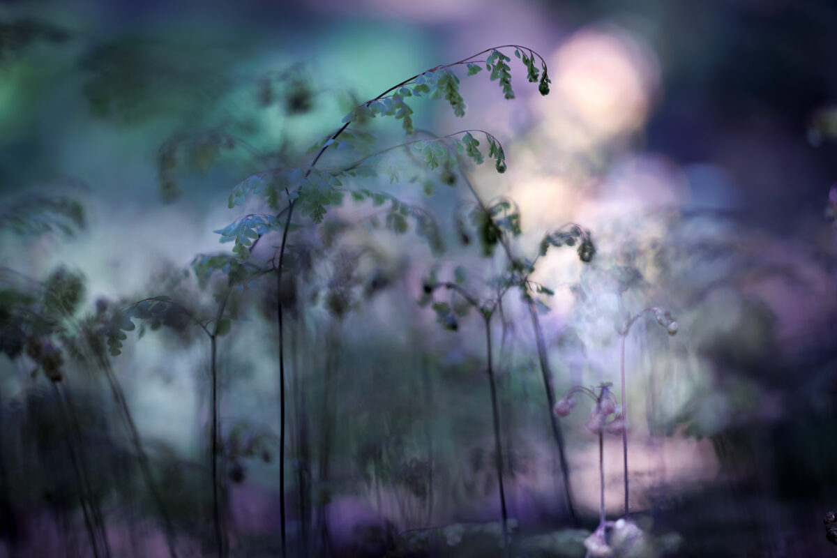 Photo: Fr&uuml;hlingsfreuden 2023