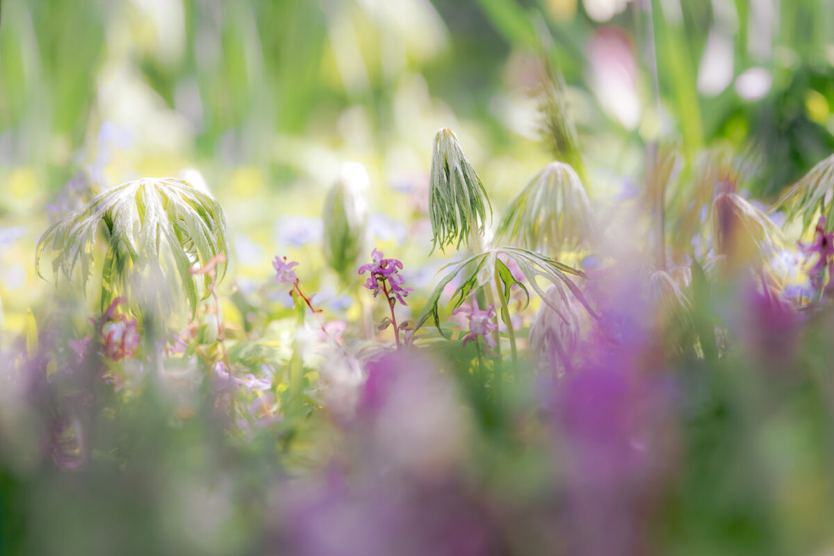 Photo: Fr&uuml;hlingsfreuden 2023