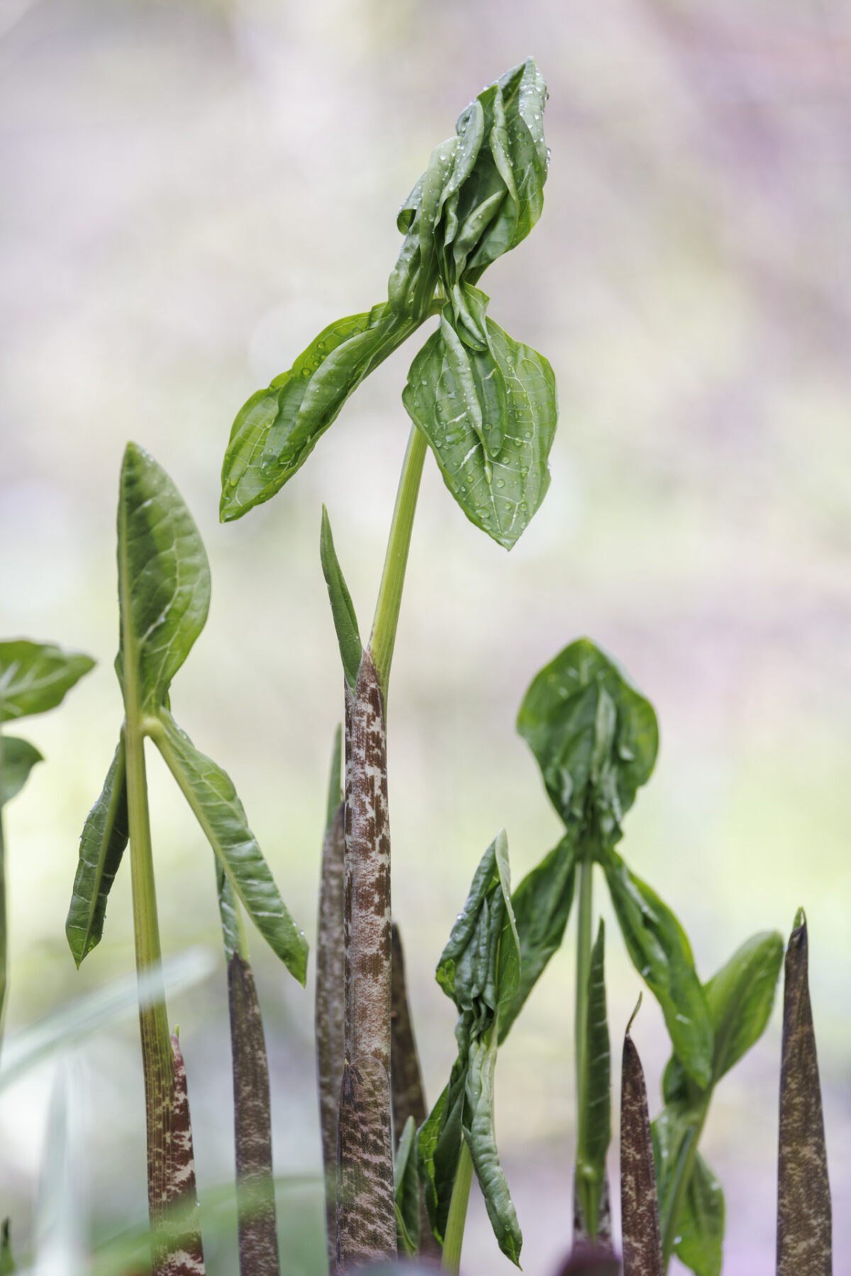 Photo: Fr&uuml;hlingsfreuden 2023
