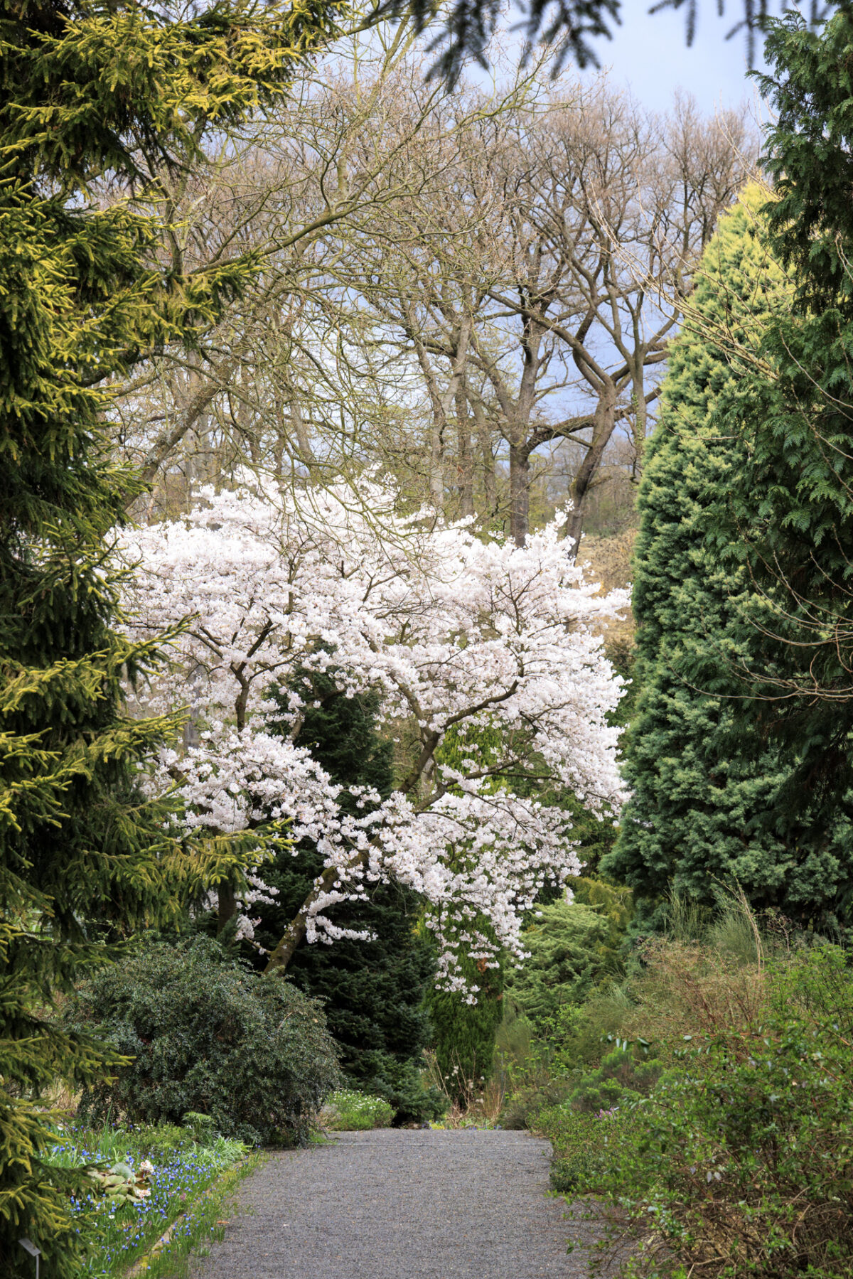 Photo: Fr&uuml;hlingsfreuden 2023