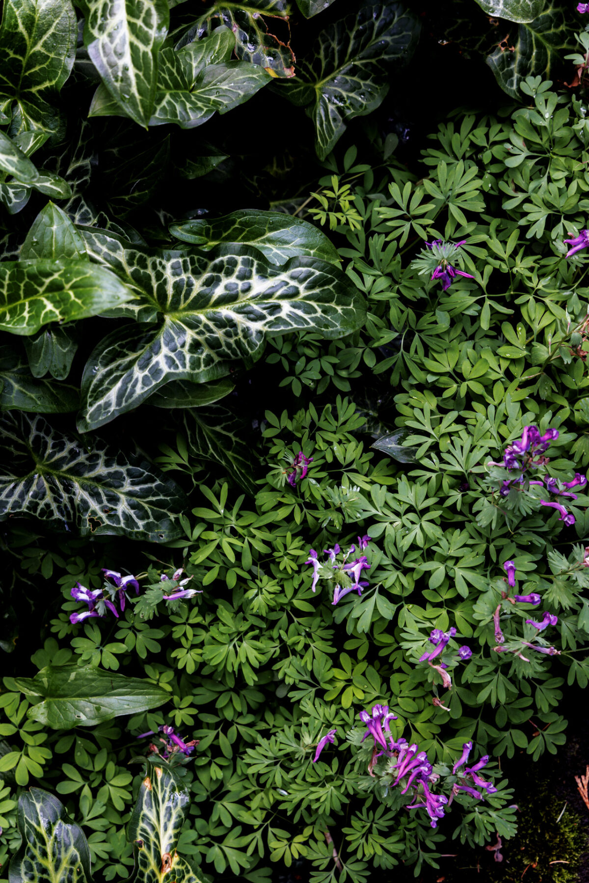 Photo: Fr&uuml;hlingsfreuden 2023