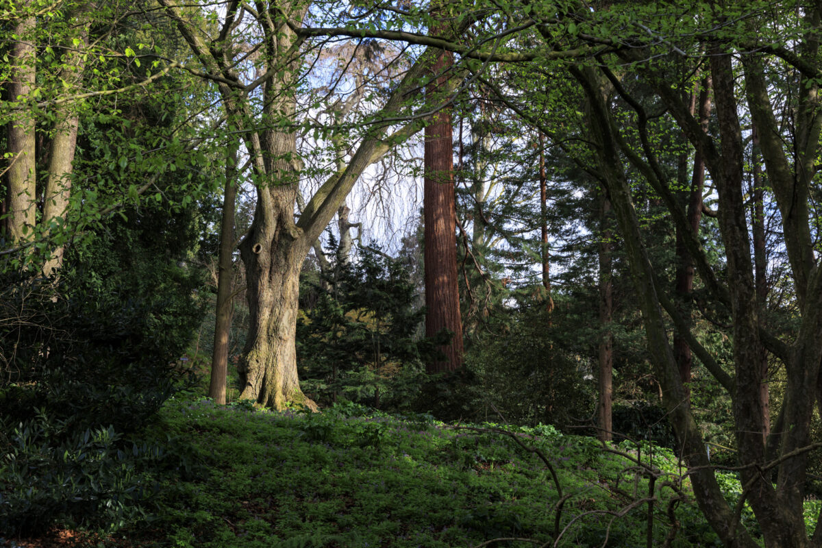Photo: Fr&uuml;hlingsfreuden 2023