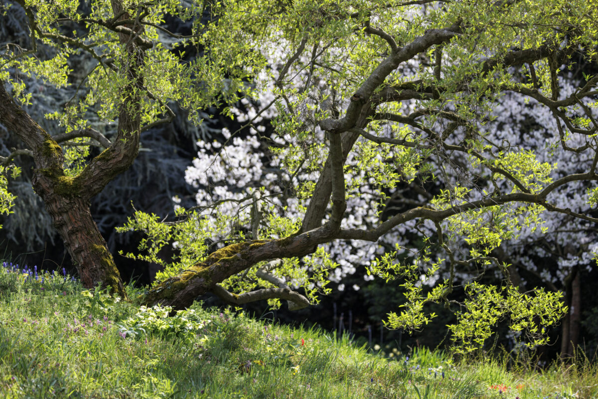 Photo: Fr&uuml;hlingsfreuden 2023