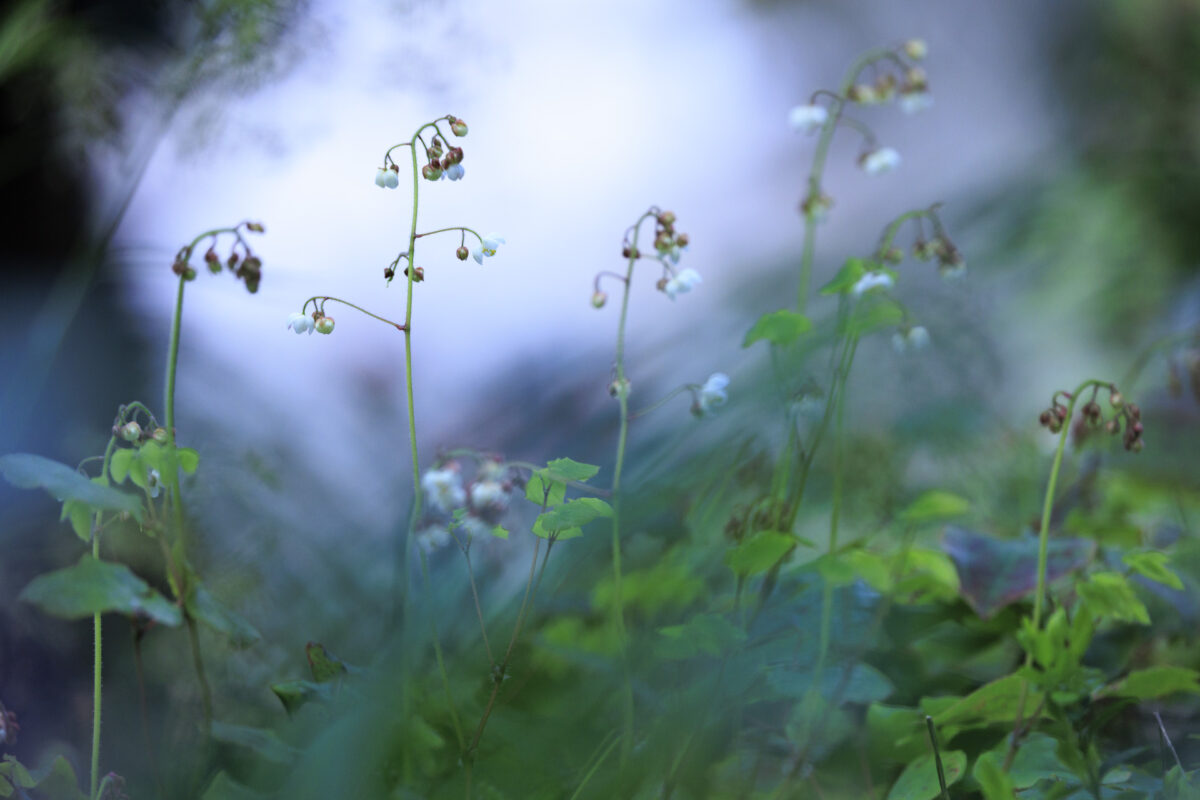 Photo: Fr&uuml;hlingsfreuden 2023