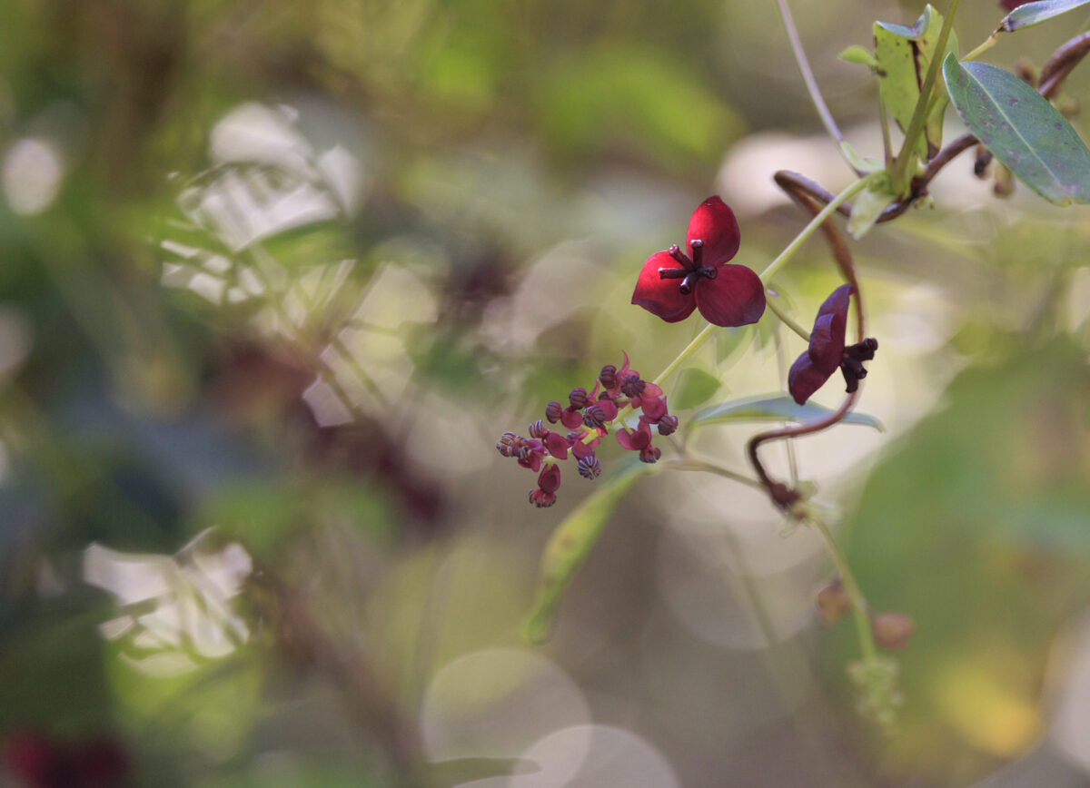 Photo: Fr&uuml;hlingsfreuden 2023