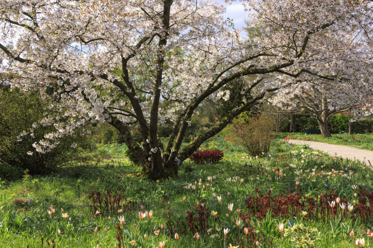 Photo: Fr&uuml;hlingsfreuden 2023