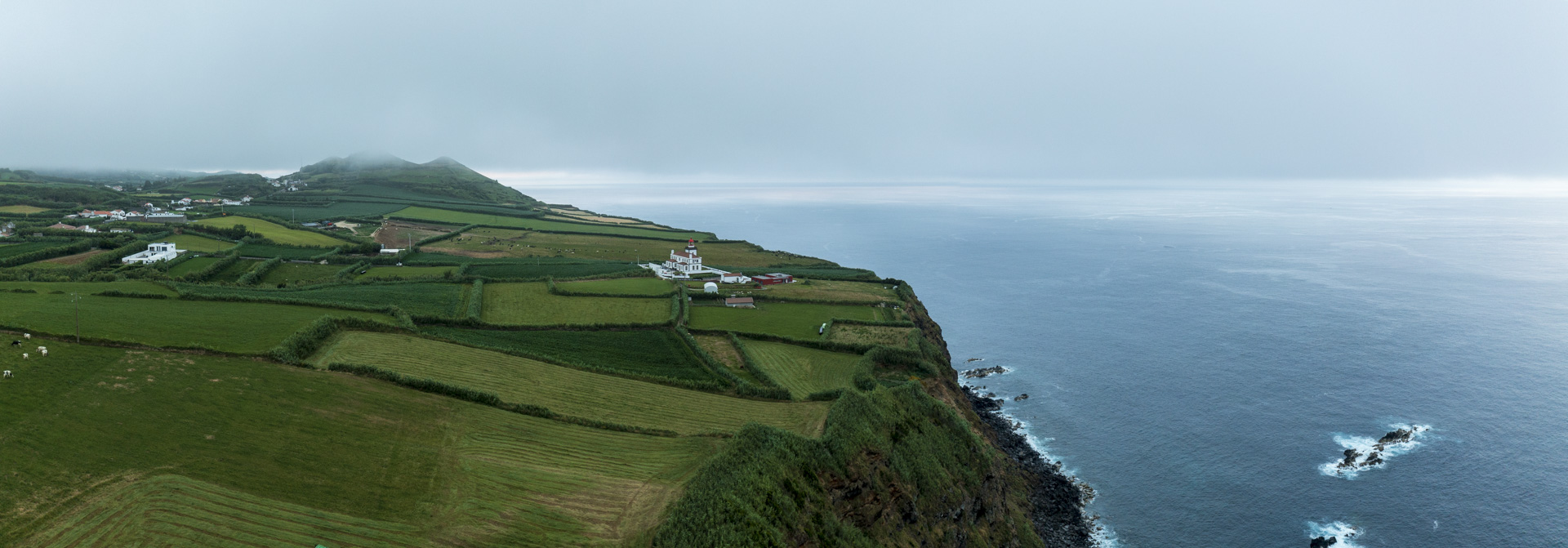 Dunyodagi eng chiroyli mushuklar (foto)
