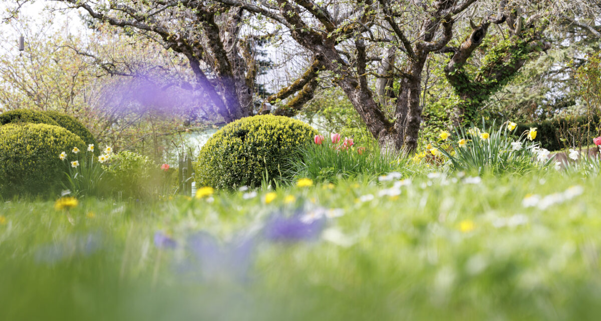 Photo: Fr&uuml;hlingsfreuden 2023