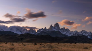 Photo: Puma, Condor und Guanaco - Tiere in Patagonien