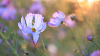 Photo: Anmeldung zum Newsletter