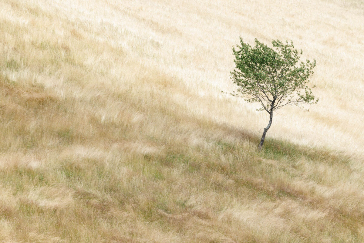 Photo: Portfolio Naturfotografie