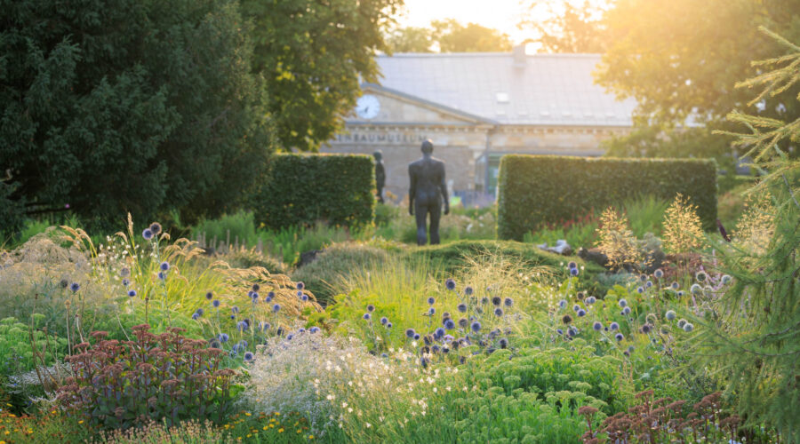 Photo: Intensivkurs Gartenfotografie mit Sylvia Knittel im ega-Park in Erfurt