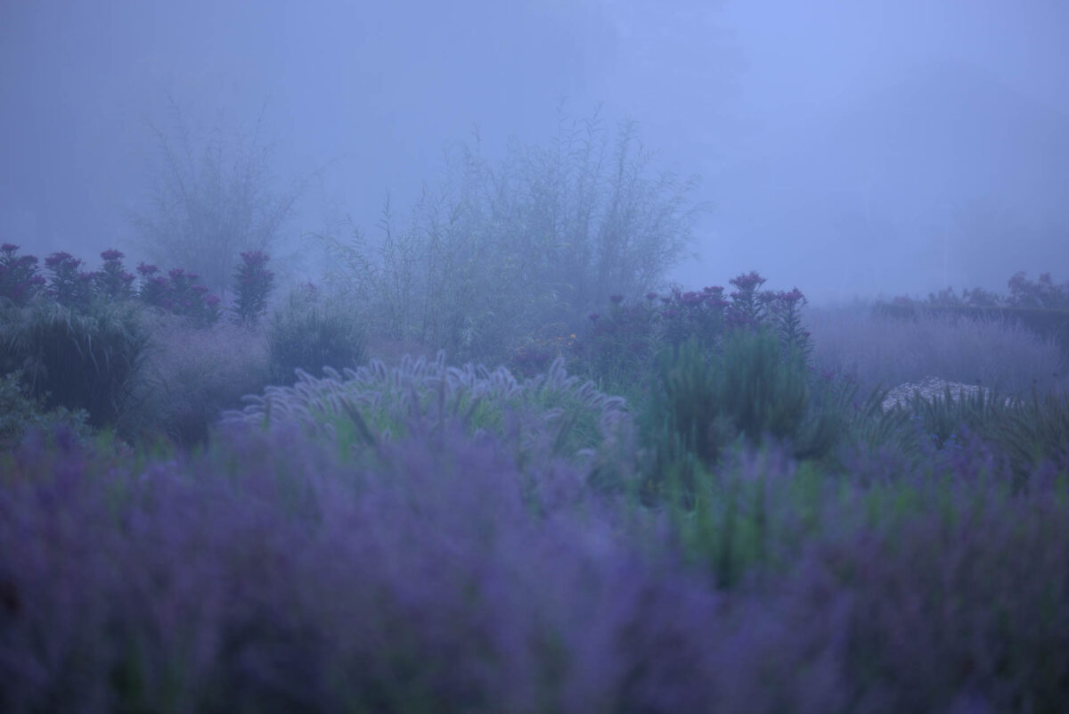 Photo: Intensivkurs Gartenfotografie mit Sylvia Knittel im ega-Park in Erfurt