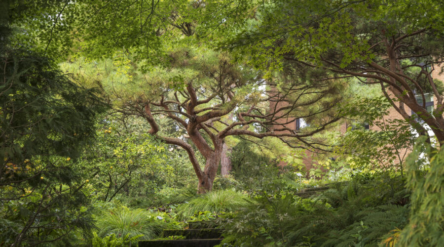 Photo: Workshop Gartenfotografie mit Sylvia Knittel am Samstag, 10. August von 13:30 bis ca. 21:00 Uhr im Arboretum Park Härle