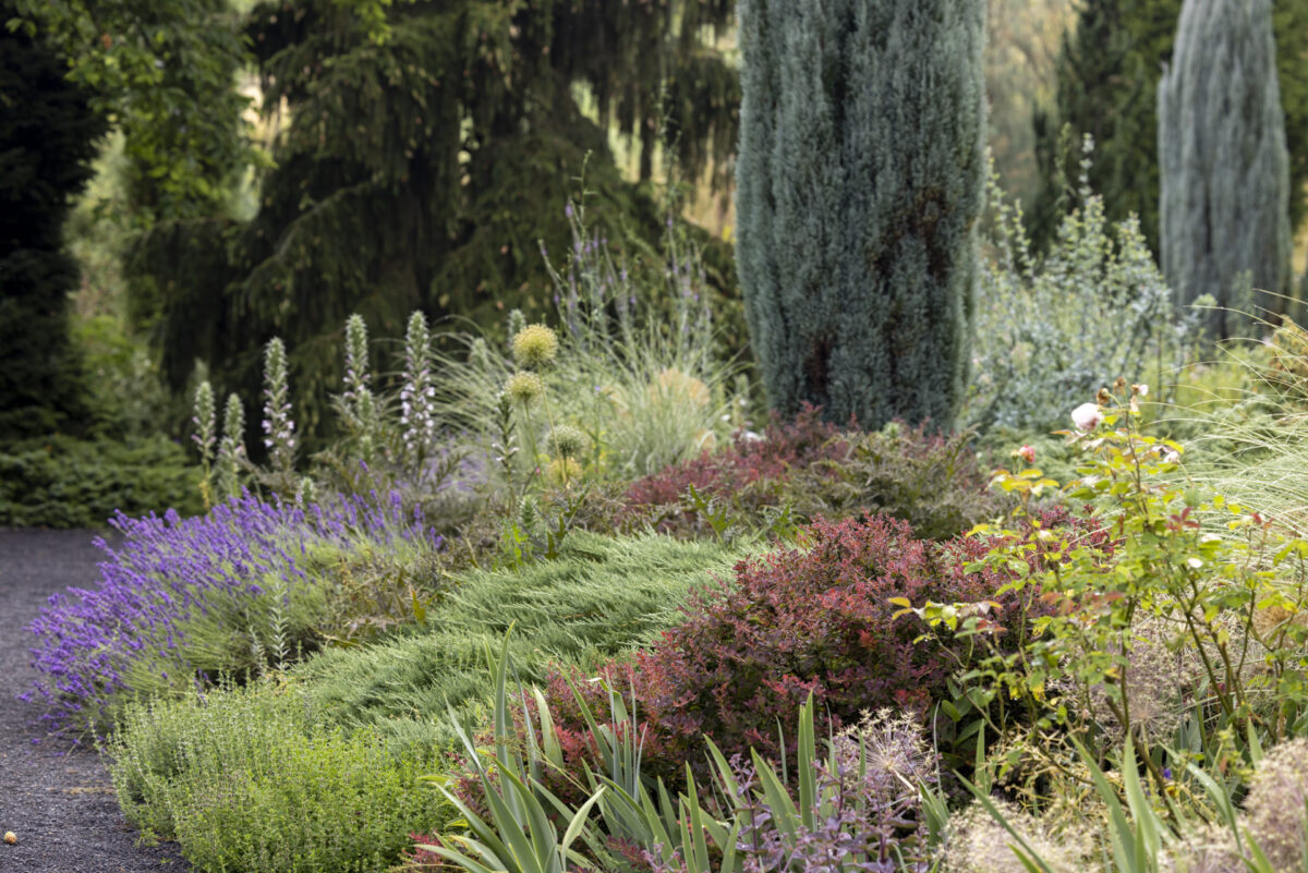 Photo: Workshop Gartenfotografie mit Sylvia Knittel am Samstag, 10. August von 13:30 bis ca. 21:00 Uhr im Arboretum Park Härle