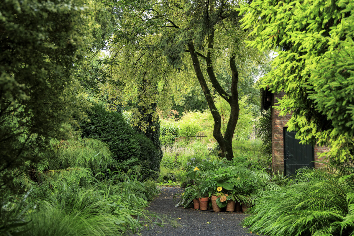 Photo: Workshop Gartenfotografie mit Sylvia Knittel am Samstag, 10. August von 13:30 bis ca. 21:00 Uhr im Arboretum Park Härle