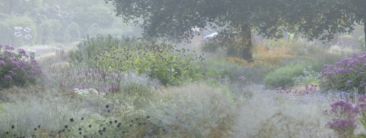 Bild: Workshops, Kurse & Termine zur Garten- und Naturfotografie Photo: Workshops, Kurse & Termine zur Garten- und Naturfotografie