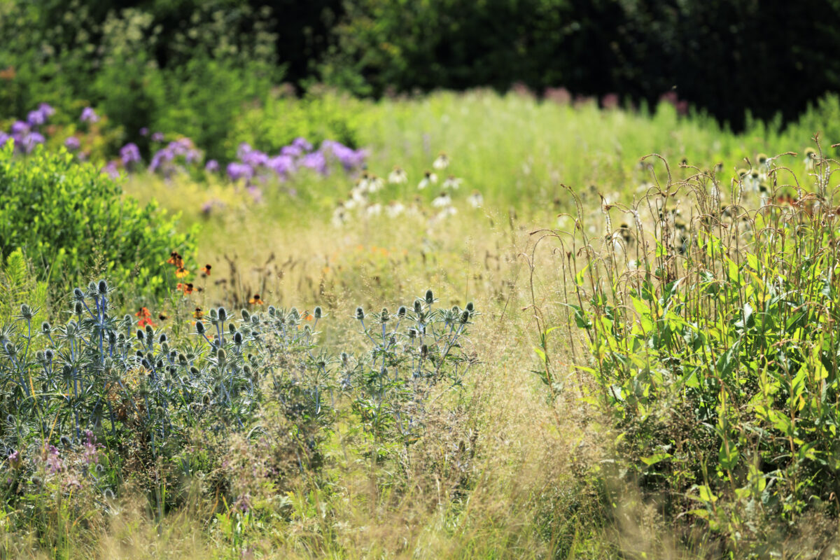 Photo: Vitra Campus und Piet Oudolfs Strukturen - Workshops mit Sylvia Knittel