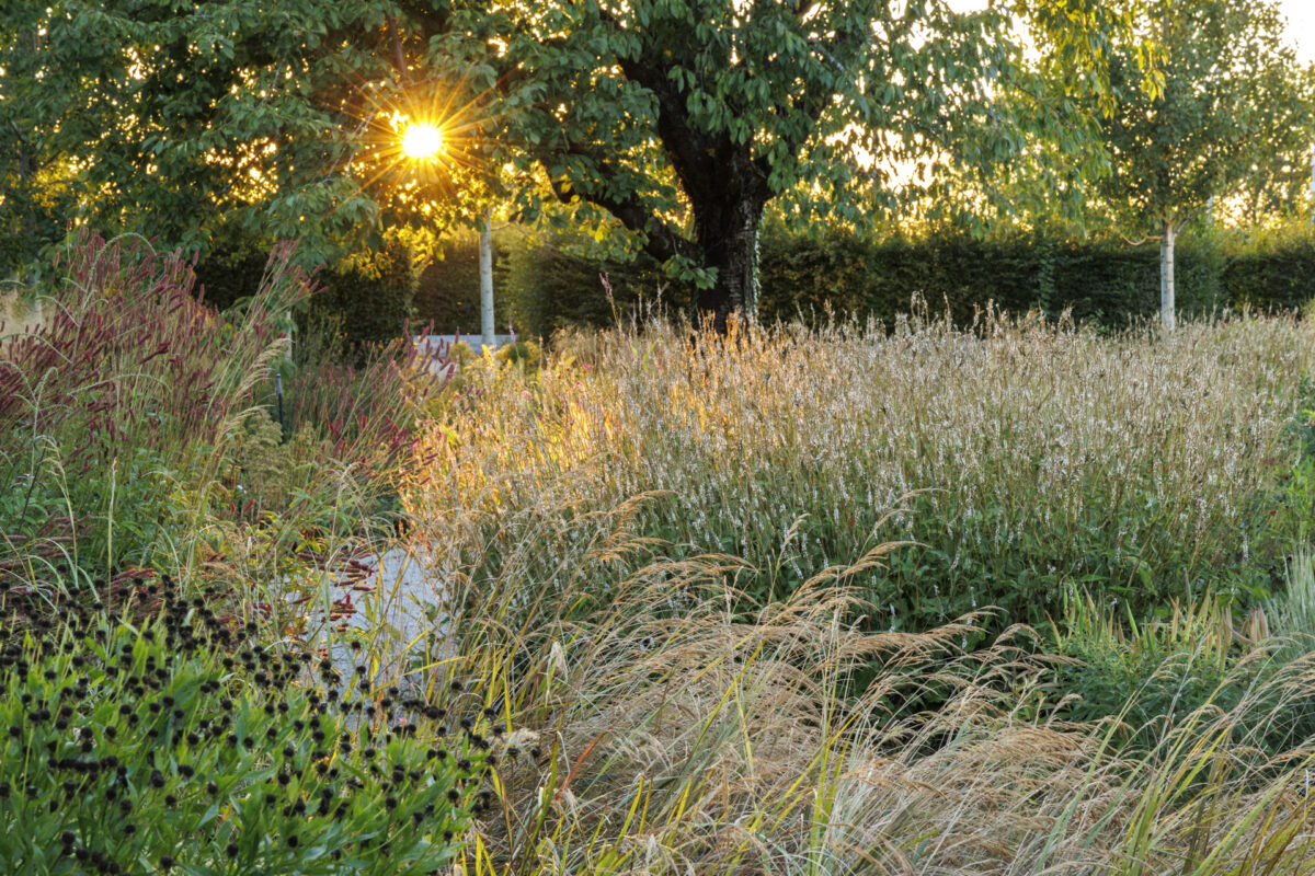 Photo: Vitra Campus und Piet Oudolfs Strukturen - Workshops mit Sylvia Knittel