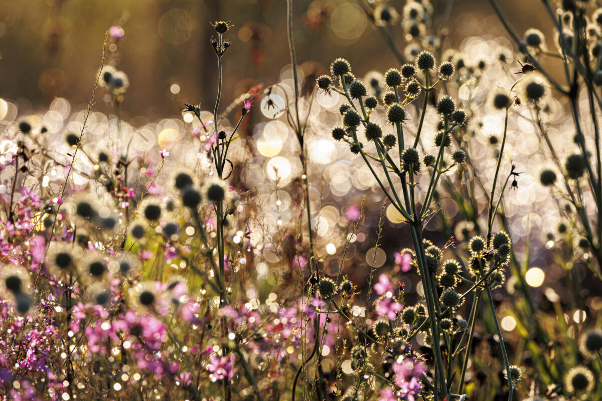 Photo: Vitra Campus und Piet Oudolfs Strukturen - Workshops mit Sylvia Knittel
