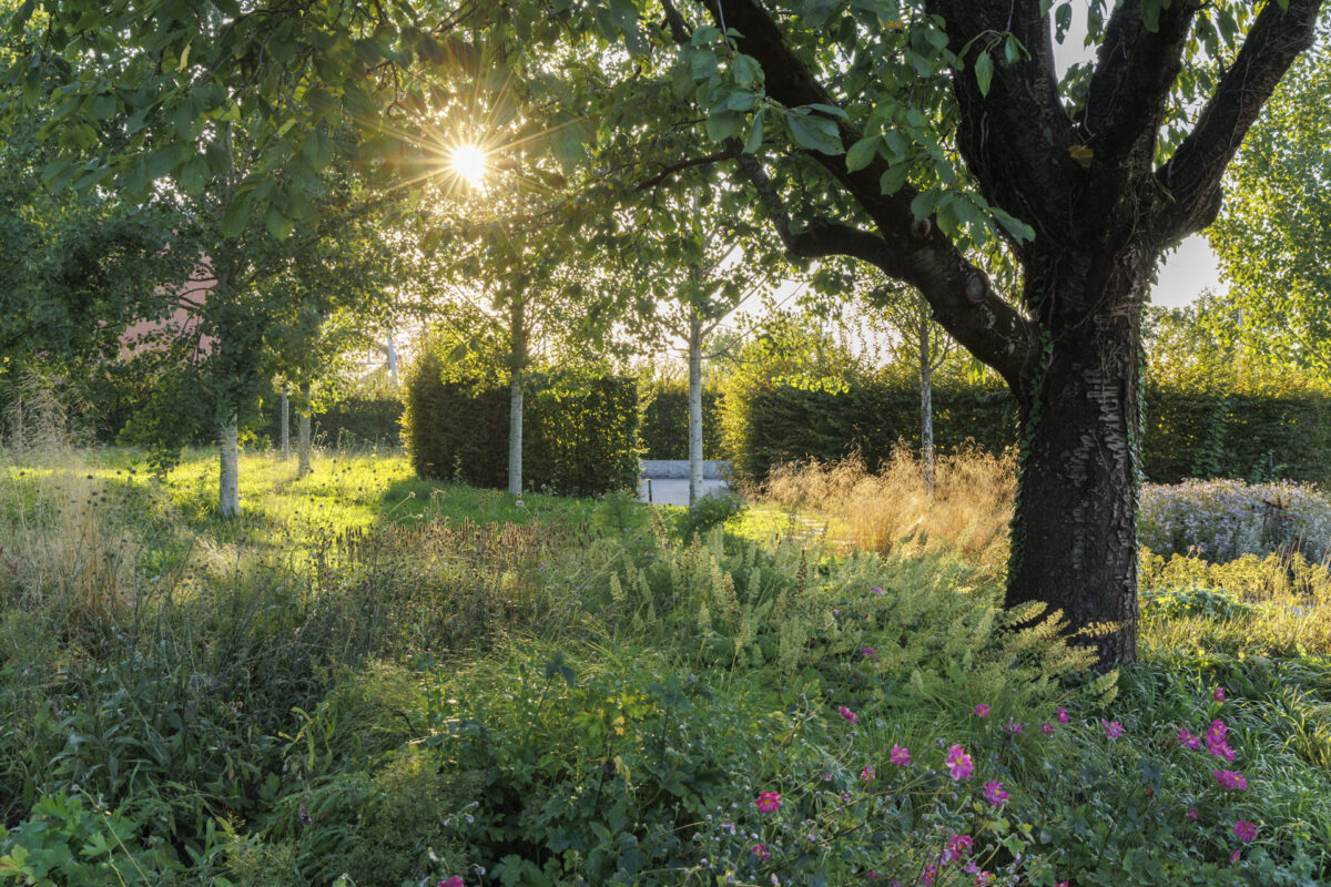 Photo: Vitra Campus und Piet Oudolfs Strukturen - Workshops mit Sylvia Knittel