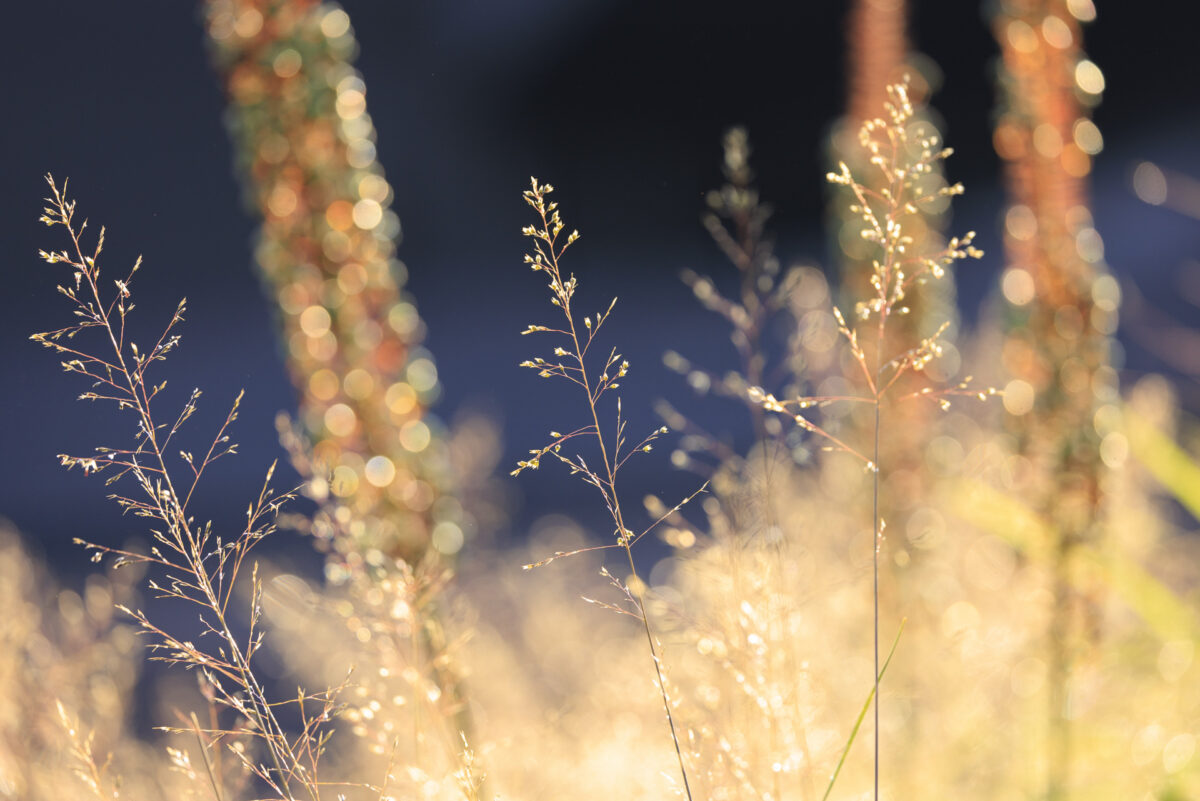 Photo: Vitra Campus und Piet Oudolfs Strukturen - Workshops mit Sylvia Knittel