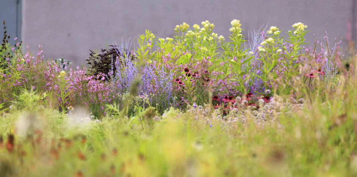 Photo: Vitra Campus und Piet Oudolfs Strukturen - Workshops mit Sylvia Knittel