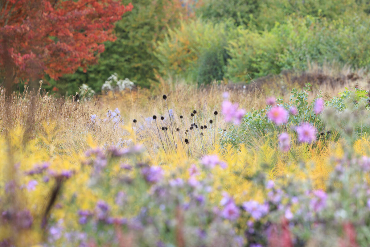 Photo: Vitra Campus und Piet Oudolfs Strukturen - Workshops mit Sylvia Knittel