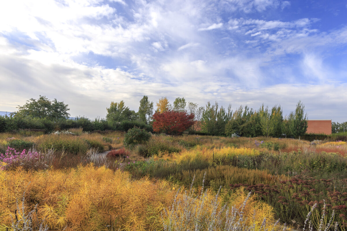 Photo: Vitra Campus und Piet Oudolfs Strukturen - Workshops mit Sylvia Knittel