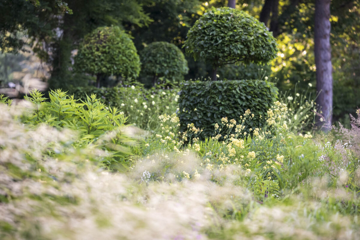 Bild: Workshop Gartenfotografie mit Sylvia Knittel: 14./15. Juni 2025 im Luisenpark (Mannheim) und Ebertpark (Ludwigshafen) - AUSGEBUCHT Photo: Workshop Gartenfotografie mit Sylvia Knittel: 14./15. Juni 2025 im Luisenpark (Mannheim) und Ebertpark (Ludwigshafen) - AUSGEBUCHT