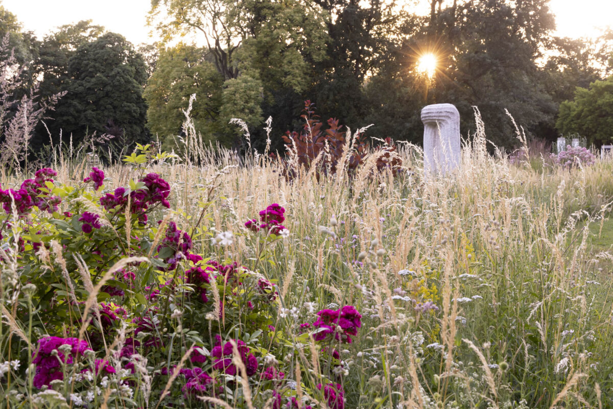 Bild: Workshop Gartenfotografie mit Sylvia Knittel: 14./15. Juni 2025 im Luisenpark (Mannheim) und Ebertpark (Ludwigshafen) - AUSGEBUCHT Photo: Workshop Gartenfotografie mit Sylvia Knittel: 14./15. Juni 2025 im Luisenpark (Mannheim) und Ebertpark (Ludwigshafen) - AUSGEBUCHT