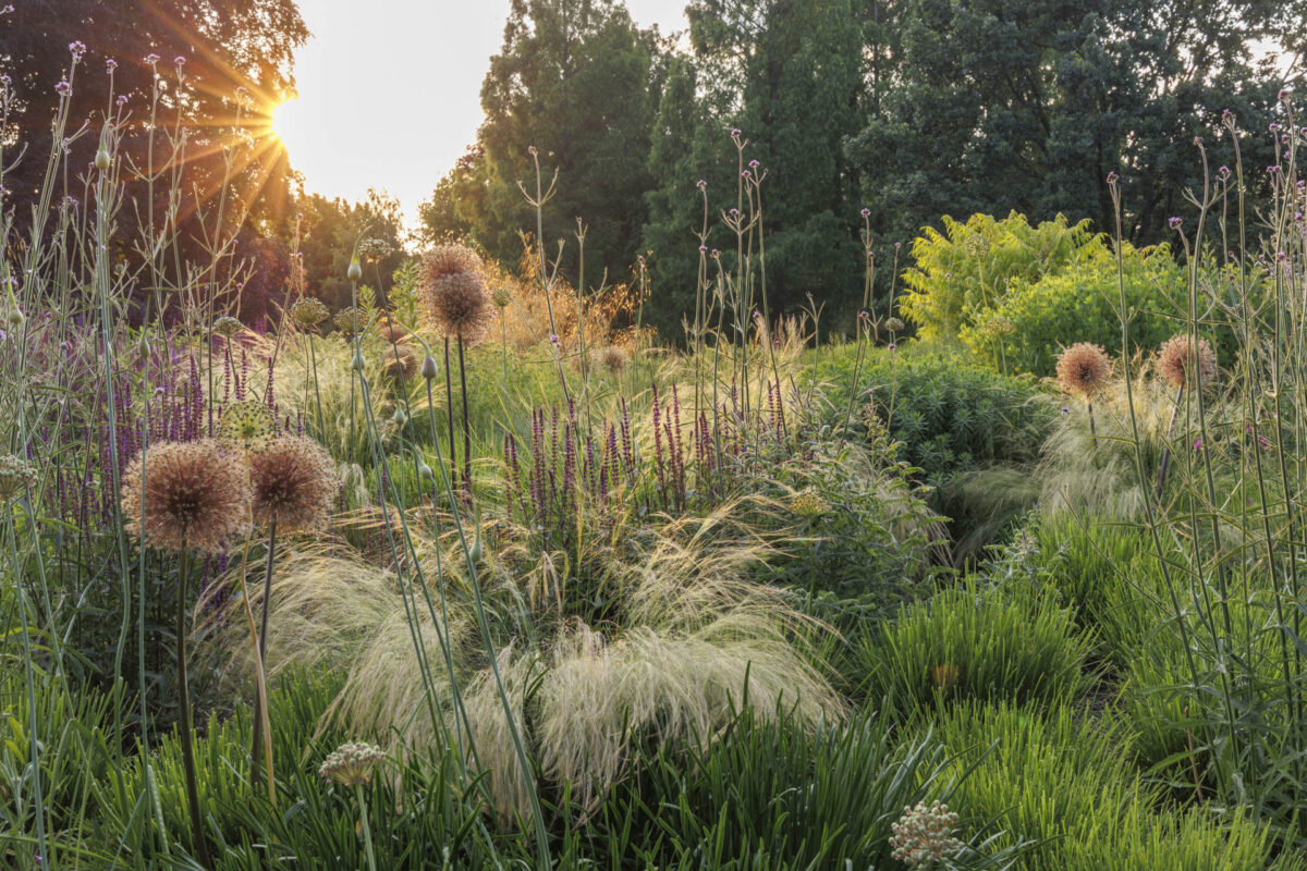 Bild: Workshop Gartenfotografie mit Sylvia Knittel: 14./15. Juni 2025 im Luisenpark (Mannheim) und Ebertpark (Ludwigshafen) - AUSGEBUCHT Photo: Workshop Gartenfotografie mit Sylvia Knittel: 14./15. Juni 2025 im Luisenpark (Mannheim) und Ebertpark (Ludwigshafen) - AUSGEBUCHT