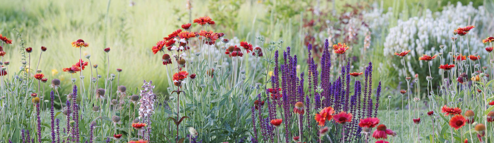Gartenfotografie lernen mit einem Kurs von Sylvia Knittel