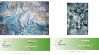 Photo: Erste Fotos aus Gr&ouml;nland