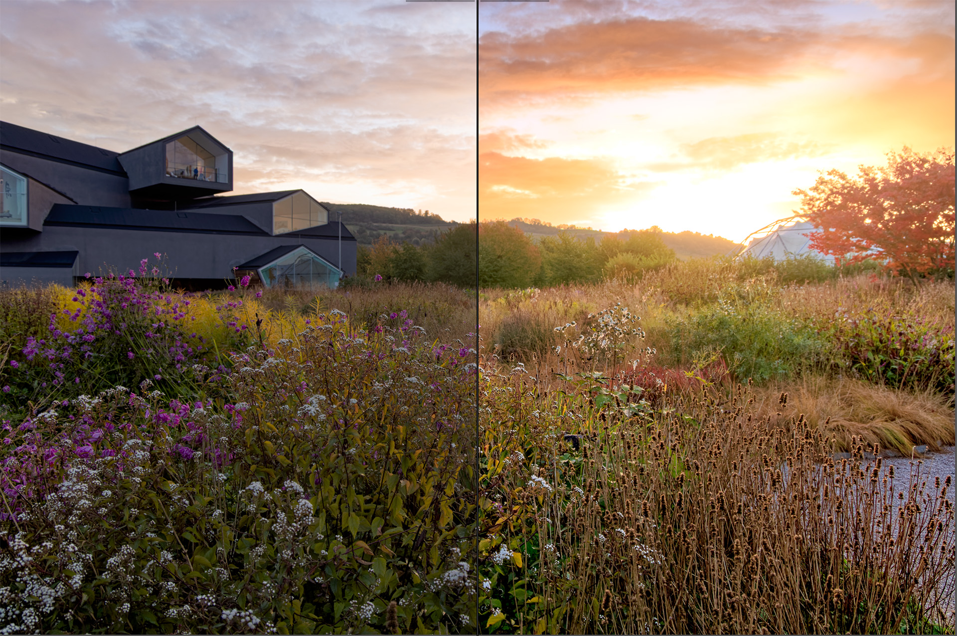 Bildentwicklung mit Lightroom