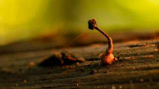 Bild: Felsen und Täler im Bayerischen Wald Photo: Felsen und Täler im Bayerischen Wald