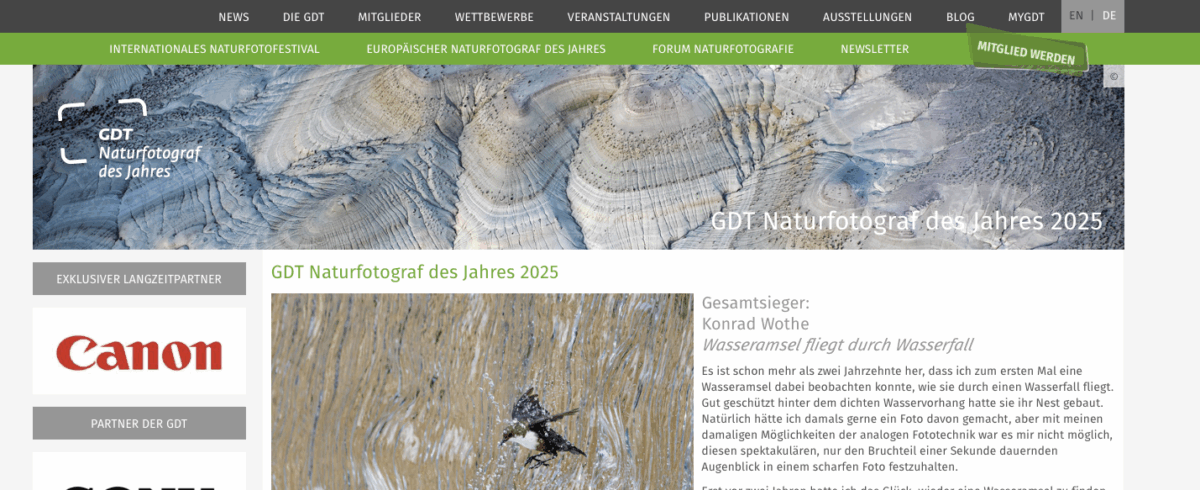 Bild: Fotos im Wettbewerb 2025 der GDT Photo: Fotos im Wettbewerb 2025 der GDT