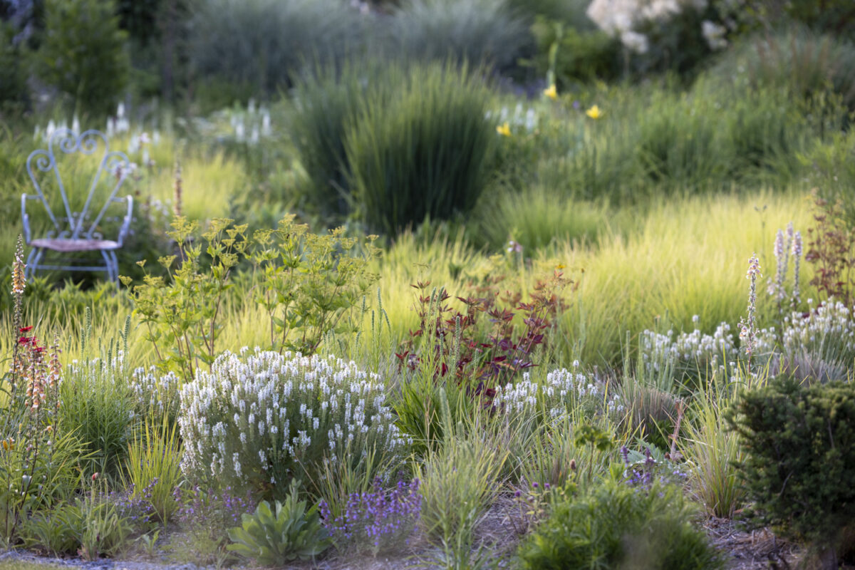 Photo: Staudengärtnerei in Rödelsee - Workshop Gartenfotografie mit Sylvia Knittel