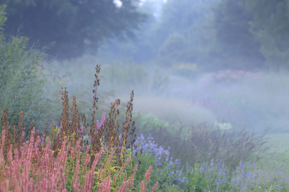 Photo: Maximilianpark in Hamm: Workshop Gartenfotografie mit Sylvia Knittel: 1.-2. August 2026
