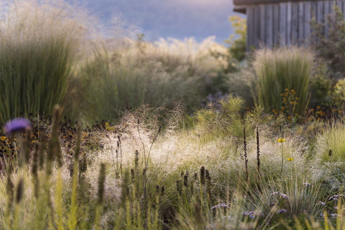 Photo: Staudengärtnerei in Rödelsee - Workshop Gartenfotografie mit Sylvia Knittel