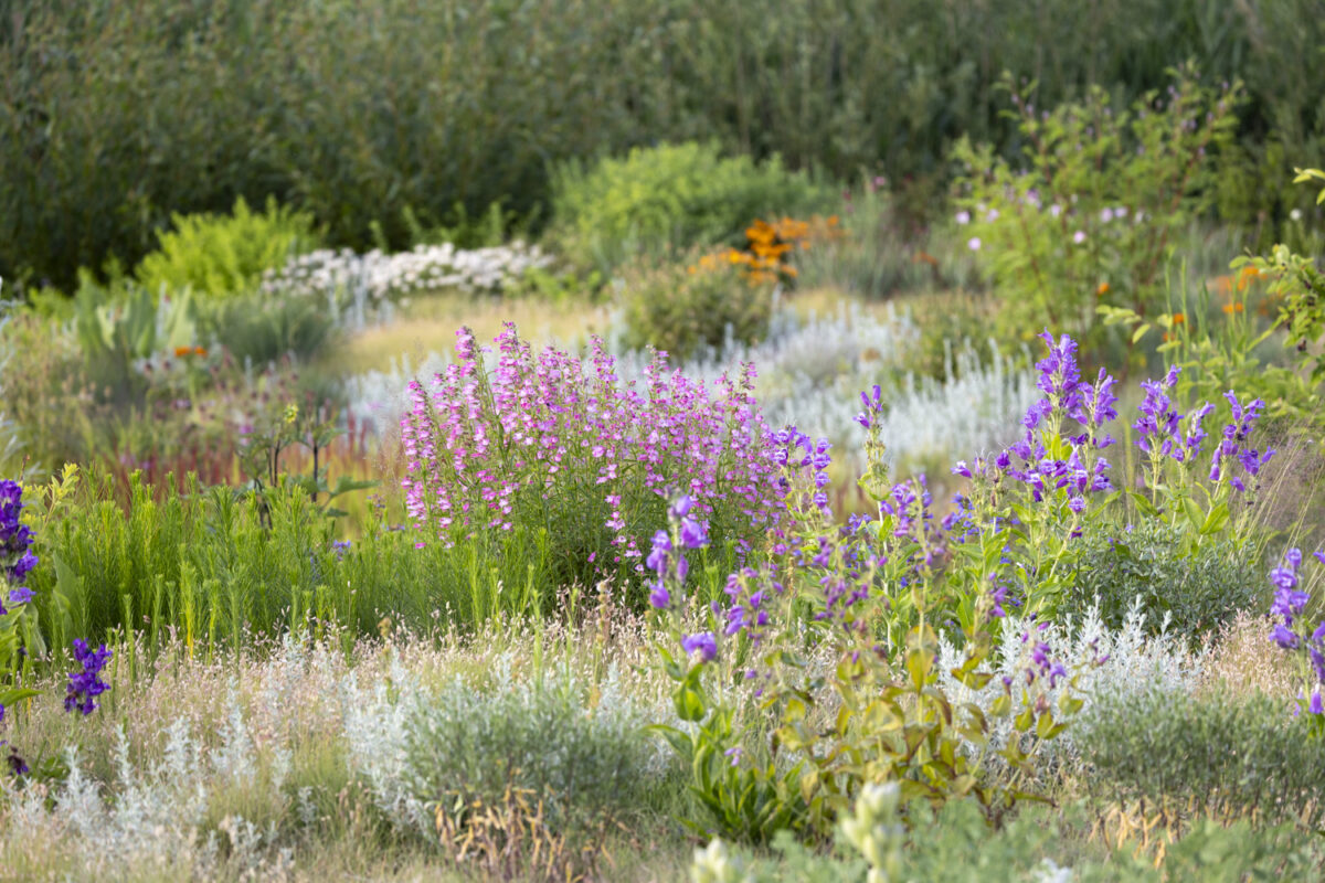 Photo: Staudengärtnerei in Rödelsee - Workshop Gartenfotografie mit Sylvia Knittel