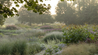 Photo: Staudengärtnerei in Rödelsee - Workshop Gartenfotografie mit Sylvia Knittel