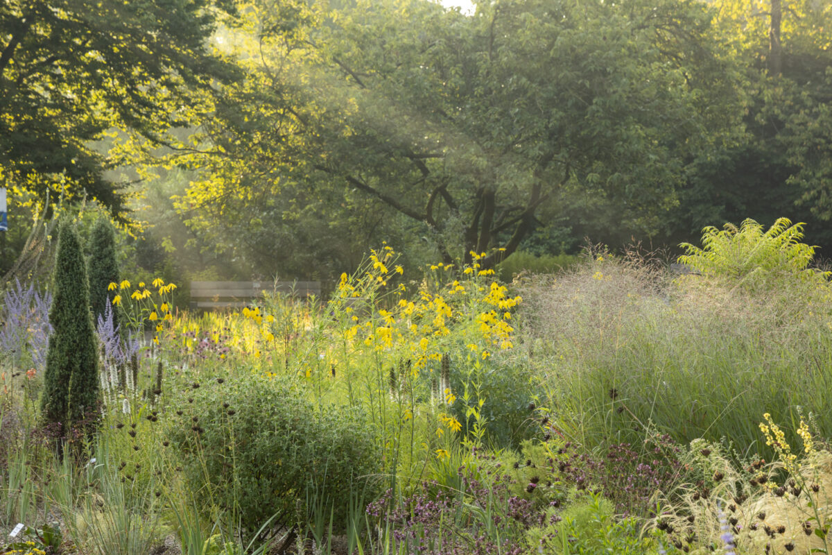 Photo: Maximilianpark in Hamm: Workshop Gartenfotografie mit Sylvia Knittel: 1.-2. August 2026