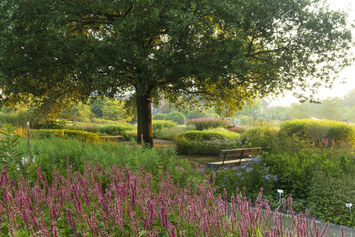 Photo: Maximilianpark in Hamm: Workshop Gartenfotografie mit Sylvia Knittel: 1.-2. August 2026